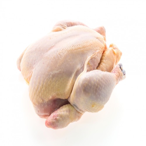 Halal frozen whole chicken exporter